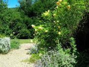 Elegantes Cottage in Klosterneuburg Exklusives Wohnen...