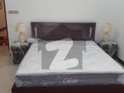 Elegantly Furnished And Highly Maintained 3 Bedroom 3248...