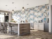 Elevate Apartments 1C.1