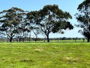 Elevated 1 Hectare Lots. Country Living with Great Views