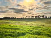 Elevated 1 Hectare Lots. Country Living with Great Views