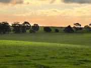 Elevated 1 Hectare Lots. Country Living with Great Views