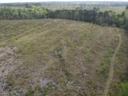 Elgin SC 29045 91637416 Elgin SC 29045 91637416