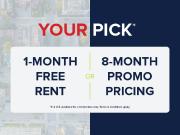 Elgin Street Apartments Studio Promotion for 8 Months...
