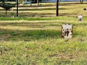 Elite Corner Lot for Sale in McKinley West