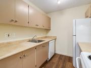 Elkwater Apartments 2 Bedroom Apartment for Rent at 505... Elkwater Apartments 2 Bedroom Apartment for Rent at 505...
