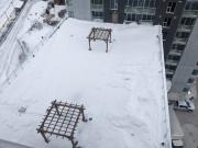 Ellwood Central 1 Bedroom Apartment for Rent at 755 &...