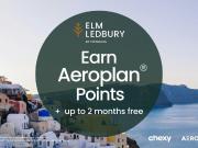 Elm Ledbury Palm [object Promise] for Rent