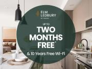 Elm Ledbury