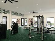 Elysian Homes at Cadence 3 Bedroom Apartment for Rent at...