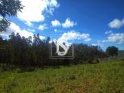 em Maiorca, Figueira da Foz