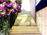 Emaar Park Edge 2 Bedroom Luxury Apartment | Easy 4...