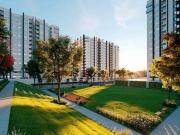 Devanahalli 3 BHK Apartment For Sale Bangalore