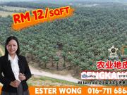 EMPIRE SQUARE SENGKANG