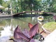 Emplacement Magique sur les Rives de la Charente, Sans...