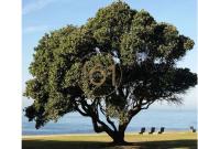 Empreendimento, Aldoar, Foz Do Douro e Nevogilde, Porto...