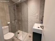 EN ALQUILER EN PLENO CENTRO DE LA CIUDAD