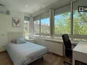 Nuevo Piso compartido en Madrid