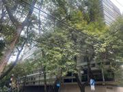 EN AMSTERDAM, LA MEJOR ZONA DE LA CONDESA, AMPLIO...