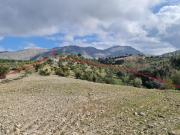 En el Parque Natural de la Sierra de Huétor