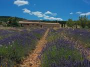 En exclusivité, une propriété avec création de projets...