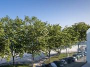 En la tranquila costa de Vigo, en una de las zonas más...