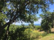 En location à Grimaud: appartement avec terrasse 3 pièces