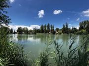 En location Appartement 1 pièce 23 m