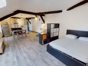 En location Appartement 1 pièce 45 m
