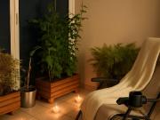 En location Appartement 2 pièces 41 m