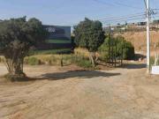 En lomas de Maitencillo lotes desde 2100 UF