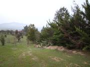 en MELIPILLA