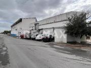 EN RENTA BODEGA CON PATIO EN RENTA BODEGA CON PATIO