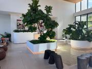 EN RENTA DEPARTAMENTO SLS PUERTO CANCUN