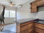 En Renta departamentos Nuevos y Equipados en Mitras Centro