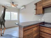 En Renta departamentos Nuevos y Equipados en Mitras...