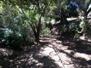 EN VENTA 1,000 HECTAREAS EN OJOS NEGROS, ENSENADA B.C