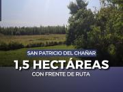 EN VENTA 1,5 HAS EN SAN PATRICIO DEL CHAÑAR