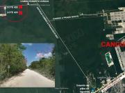 En venta 1 Hectárea de terreno escriturado en la selva...