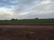 EN VENTA 22 HECTAREAS AGRICOLAS 8 DOLARES M2