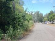 EN VENTA 3 HECTAREAS CIUDAD INDUSTRIAL BRUNO PLAGIAI