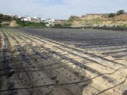 En venta 4,400 m² de tierra agrícola rica con almacén