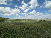 En venta 4 hectáreas sin construcción en el Pago de la...