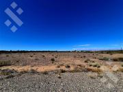 En Venta | 5 Hectareas Frente a Ruta 22 | Arroyito