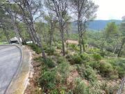 En venta 5 parcelas juntas