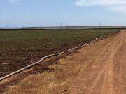 EN VENTA 65 HA IDEAL PARA SIEMBRA! EN JARAMILLO,ENSENADA B.C