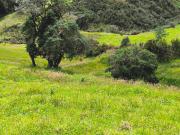 En Venta 7 Hectáreas de Terreno en Cumbe