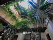 en venta Almuñécar