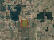 EN VENTA CAMPO 454 DPTO. TOAY LA PAMPA