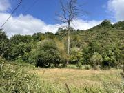 en venta, Cangas de Onís